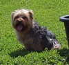 Buster