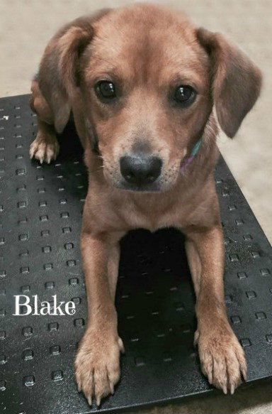 Blakely