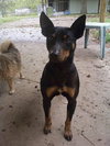 Kody