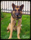 Bruno