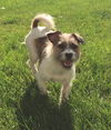 Olly