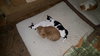 Claire
