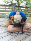 Sarge PUPPY