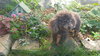 Lucy - Senior