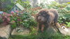 Lucy - Senior