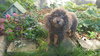 Lucy - Senior