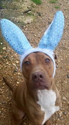 Riggins