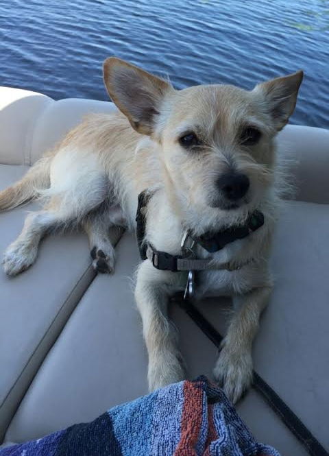 Elliot