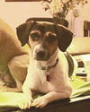 Chipper