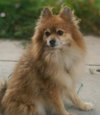 Leo -Senior