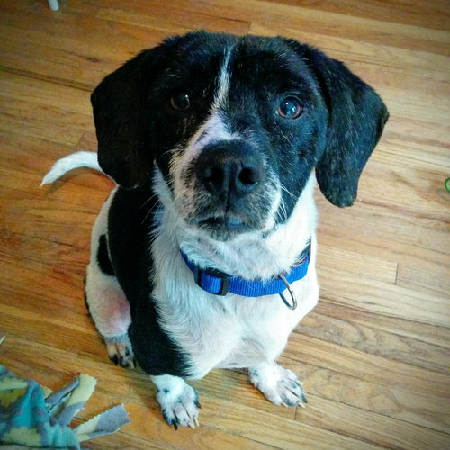 Benson