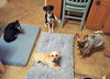 Lil' Walter