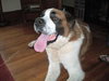 Buford
