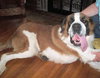 Buford