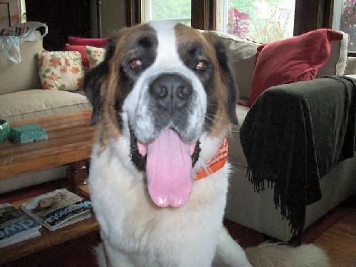 Buford