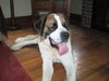 Buford