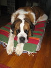 Buford