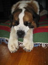 Buford