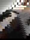 Deja Blu