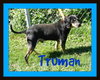 Truman