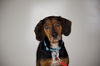 Barry