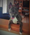 Bolt