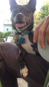 Bolt
