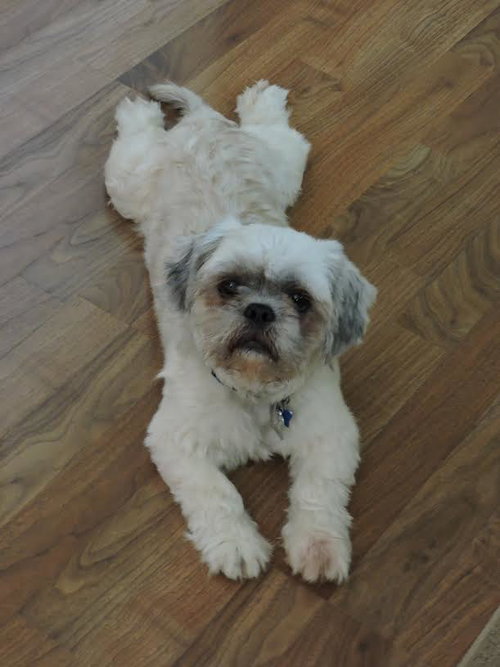Coco