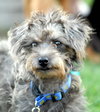 Hildie 
