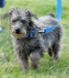 Hildie 