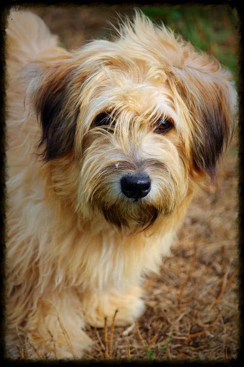 Kinley -Foster Needed