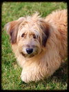 Kinley -Foster Needed