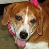 Willa -