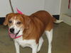 Willa -