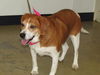 Willa -