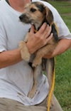 Skippy