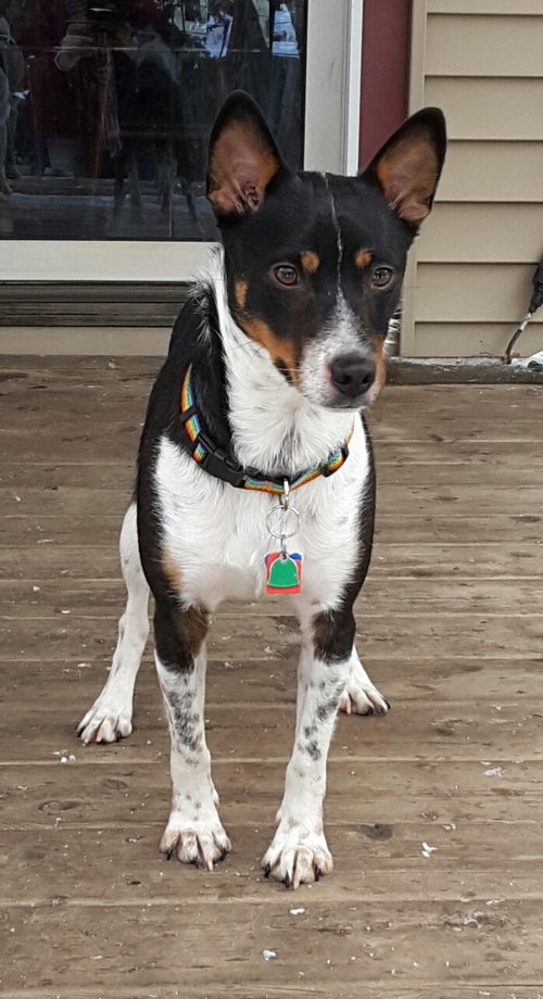 Tucker