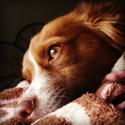 Hudson