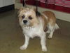 Baxter