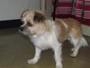 Baxter