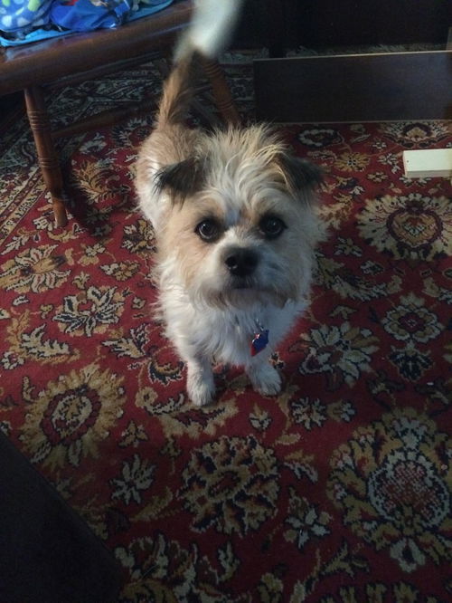 Baxter