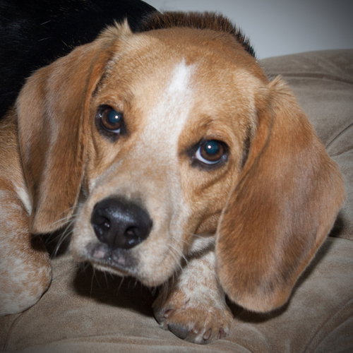 Duncan