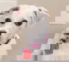 Sugar Smacks
