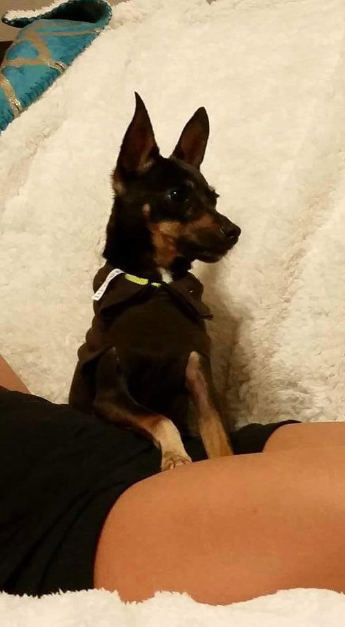 Simon
