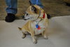 Chica -Senior
