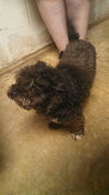 Augie -Foster Needed