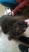 Augie -Foster Needed