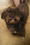 Augie -Foster Needed