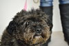 Augie -Foster Needed