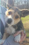 Riley